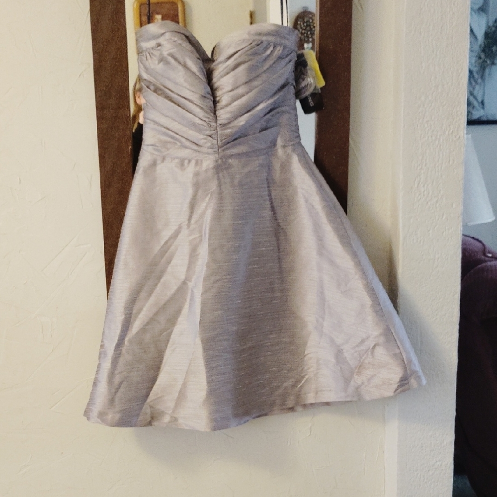 ALFRED SUNG Strapless Silver Dress